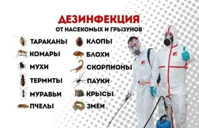 дезинфекция от всех видов насекомых с гарантией 24/7