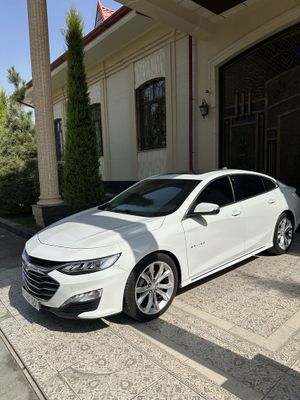 Malibu 2 2022 primer