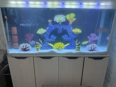 Akvarum 500 lt konplekt