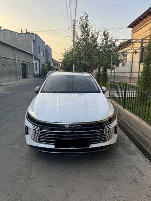 Byd chazor 2024 chazor 2024