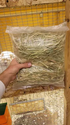 Сено для кроликов и грызунов. Xashak tayyor qadoqlangan quyonlarga
