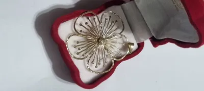 Tilla klon, braslet, soat, zirak