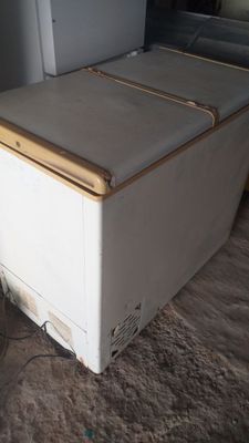 Холодильник мороженное