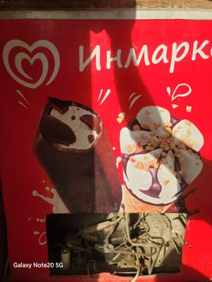 Morozelnik apparati