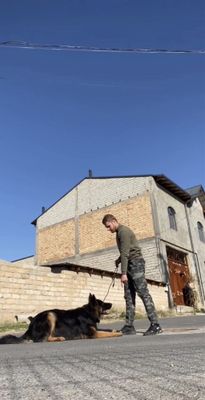 Дрессировка кинолог