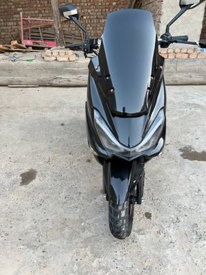 Sukuter Tiger sotladi