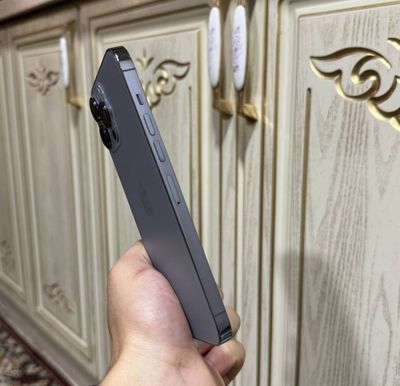 iPhone 13pro Max