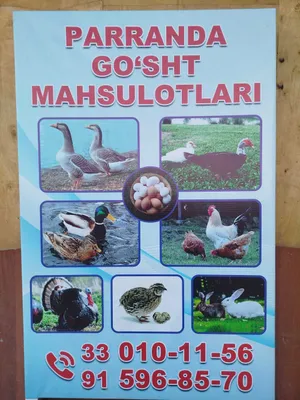 Parranda goʻsht mahsulotlari