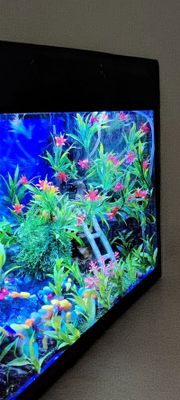 Akvarium sotiladi srochna sotiladi