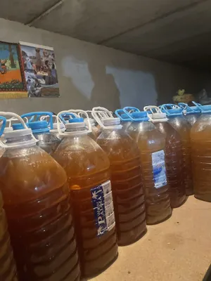 Xorazm toza asallari ( kg va optom)