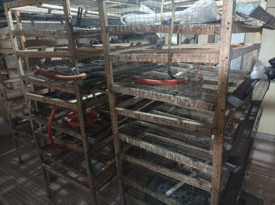 Бедана кафас 1000талик