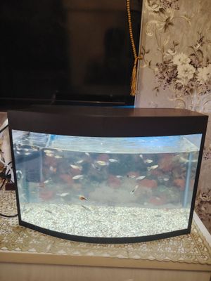 Avalniy akvarium 40Litr komplekt
