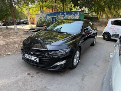 Malibu 2 XL 2025 аренда