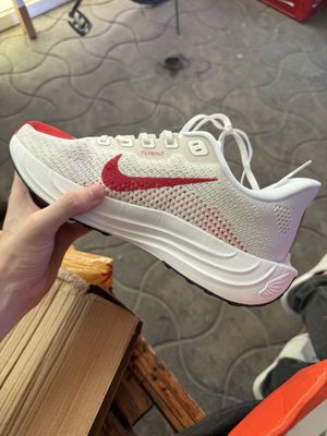 Krasofka Nike Pegasus Yangi