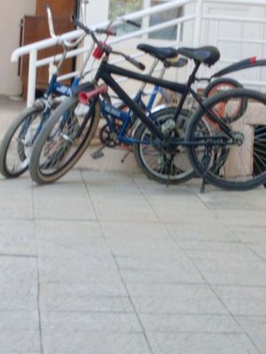 4 ta velosiped arzon narxda