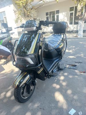 Янги юрмаган оптом