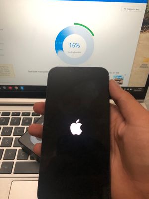 Iphone 13 pro ideal
