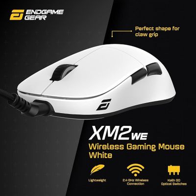 Endgame Gear XM2WE (топовая игровая мышь немецкого качества)