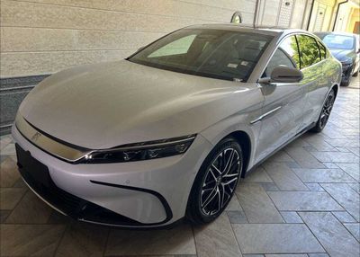 Byd Han yillik 10%