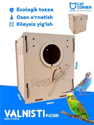 Vanisti papugai qush uyasi gnezdo
