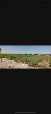 Yer uchastkalari sotiladi uy qurish uchun