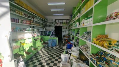 BUXORO AGRO sfatli urug' xosilingiz garavi