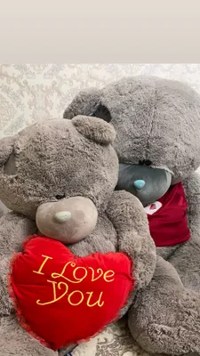 Teddiy yumshoq o'yinchoq