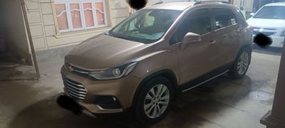 Трекер-1 пример краска тозза