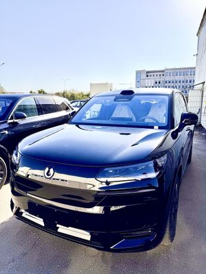 Denza N9 Flagship Full srochno