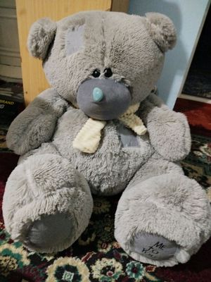 Teddy ayiq