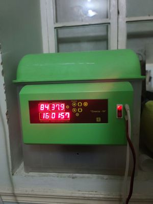 Инкубатор сотилади заводиской россия