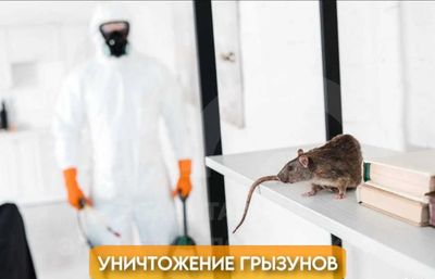 Dezinfeksiya kalamush sichqon | Дезинфекция крыс мышей сичкон | DezUz2