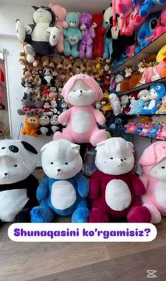 Teddy ayiq kapishonkali