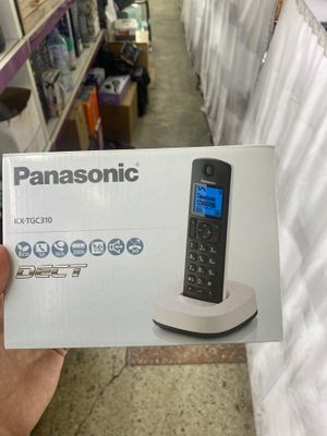 Panasonic