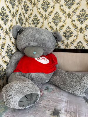 Teddy mishka kattasi