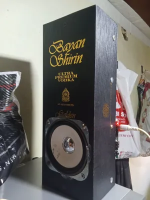 Колонка самоздел 5w на плате jws