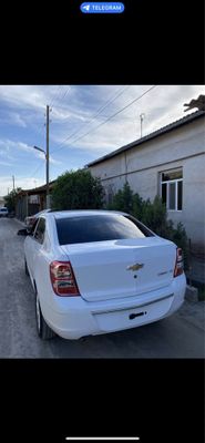 Кобалт стайл вариант бир кунлик урганчда