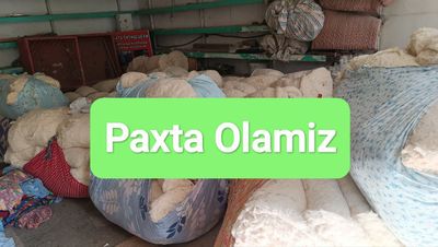 Paxta olamiz Пахта оламиз