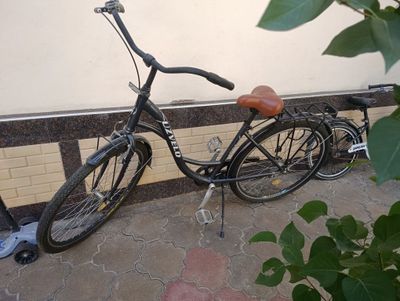 Veliklar yaxshi sostayanida