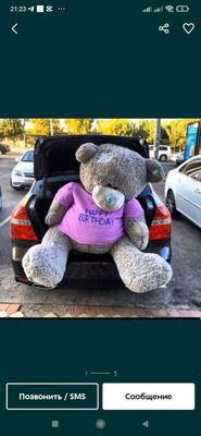 Teddi Teddiy Teddy (3m)