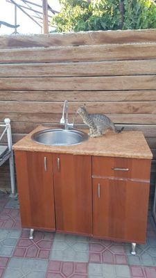 мойка со сместителем