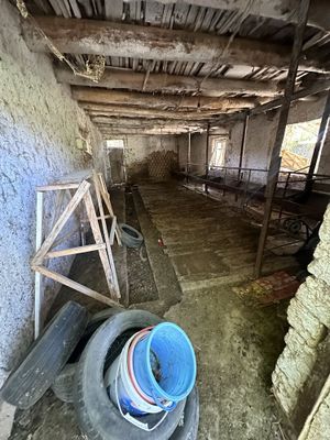 Не жилой жой арендага молхонасиям бор ne jiloy arendaga beriladi