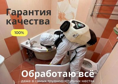 Dezinfeksiya klop tarakan klapa термит Дезинфекция СКИДКИ до 40%