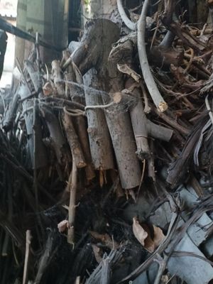 Продаются дрова от винограда , яблоня и черешня