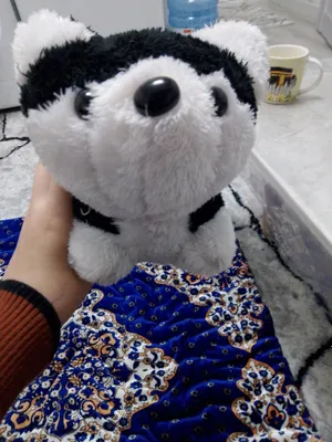 Oyinchoq 7000ming 15ta bor har-hil Yashnobod tumani izzat