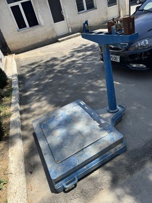 Torozi 500 kg sotiladi