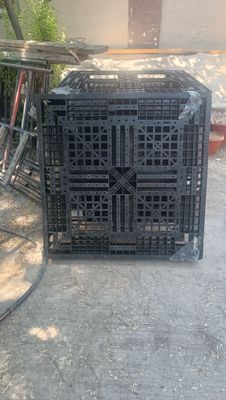 Продам Падонны 8 шт