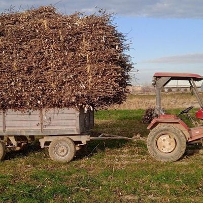 Traktor sotiladi.yurib turibdi.