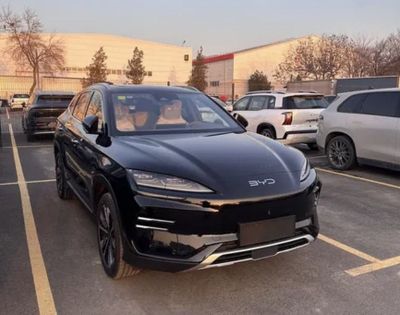 BYD chempion Smart restayling 2025