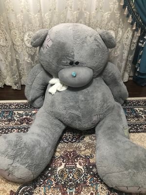 Teddiy